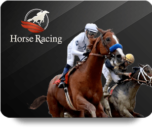 Dafabet Bet Online: A Beginner\