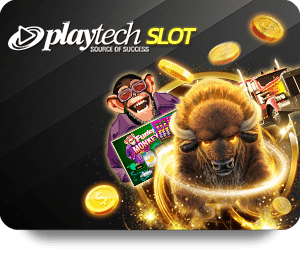 Dafabet Bet Online: A Beginner\
